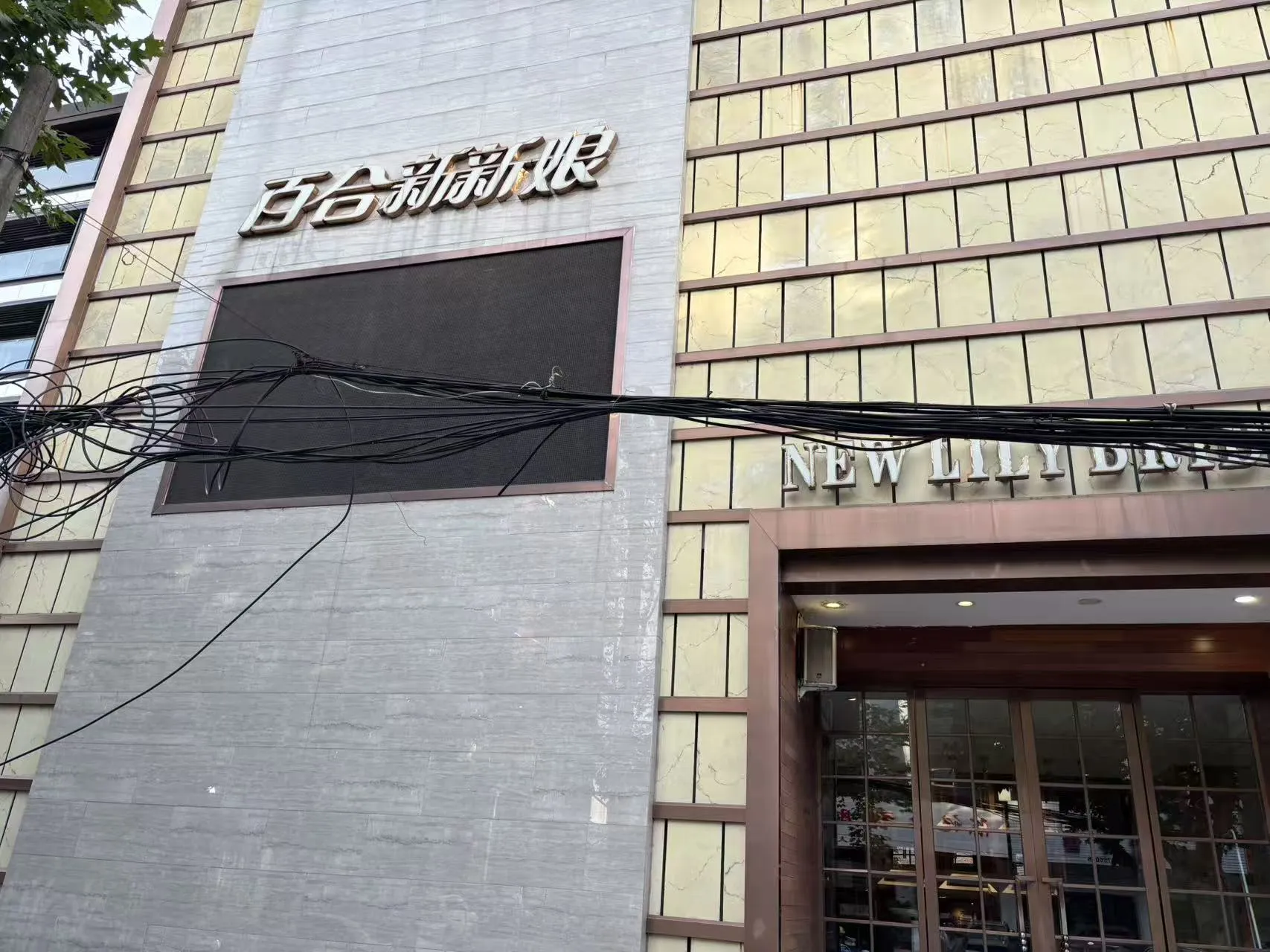 台州天台百合新新娘婚纱摄影